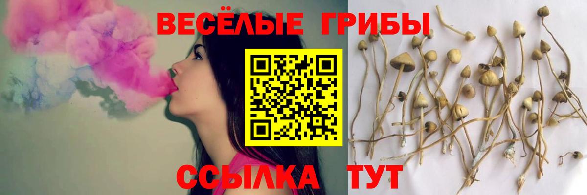 Галлюциногенные грибы Magic Shrooms  купить наркоту  Переславль-Залесский  Вход с VPN 