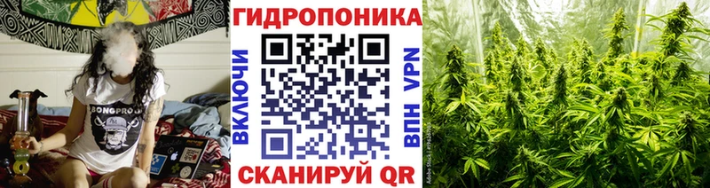 Конопля Amnesia Переславль-Залесский